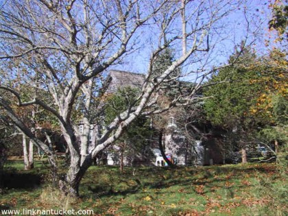 3 Nobadeer Avenue Mid Island