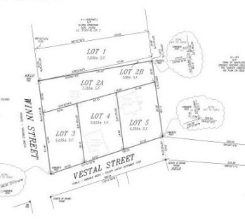 37 Vestal Street West of Town