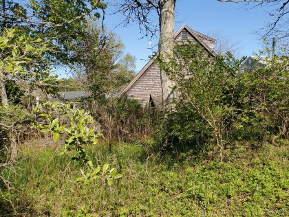 8 Winn Street West of Town