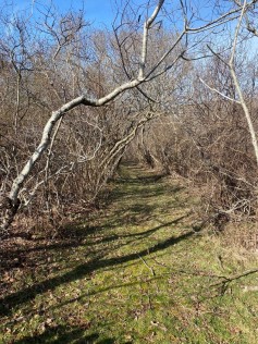 19 Sherburne Turnpike Cliff