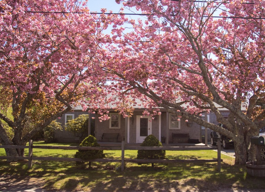 11 Newtown Road Nantucket Image