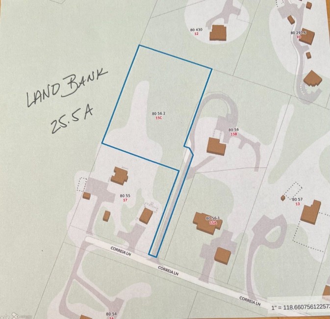  15C Correia Lane Image 1
                                    