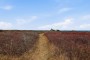 44 Madequecham Valley Road Nantucket Thumb 