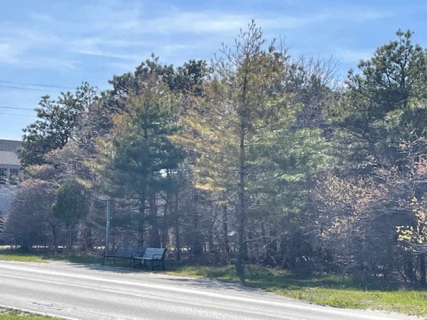 55 Fairgrounds Road and 10 Parker Lane Nantucket Image
