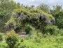 263 Polpis Road Nantucket Thumb 