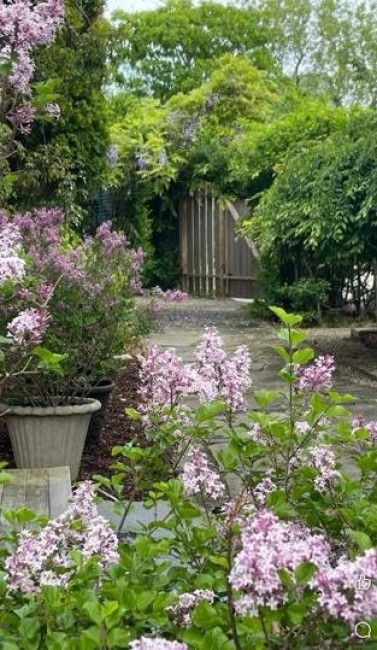  263 Polpis Road Image 29
                                    