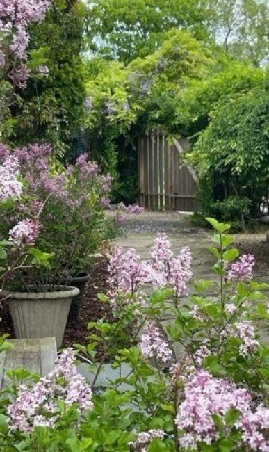  263 Polpis Road Image 33
                                    