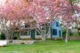 54 & 56 Meadow View Drive Nantucket Thumb 