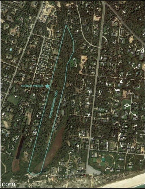  14 Field Avenue Image 40
                                    