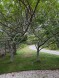 49 Tom Nevers Road Nantucket Thumb 