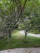 49 Tom Nevers Road Nantucket Thumb 