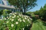 8 Monomoy Road Nantucket Thumb 