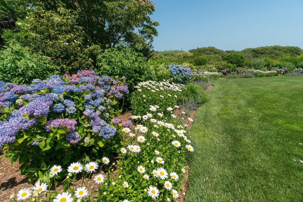  8 Monomoy Road Image 72
                                    