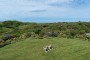 8 Monomoy Road Nantucket Thumb 