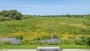 10 Sheep Commons Lane Nantucket Thumb 