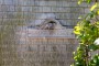 9 Sesachacha Road Nantucket Thumb 