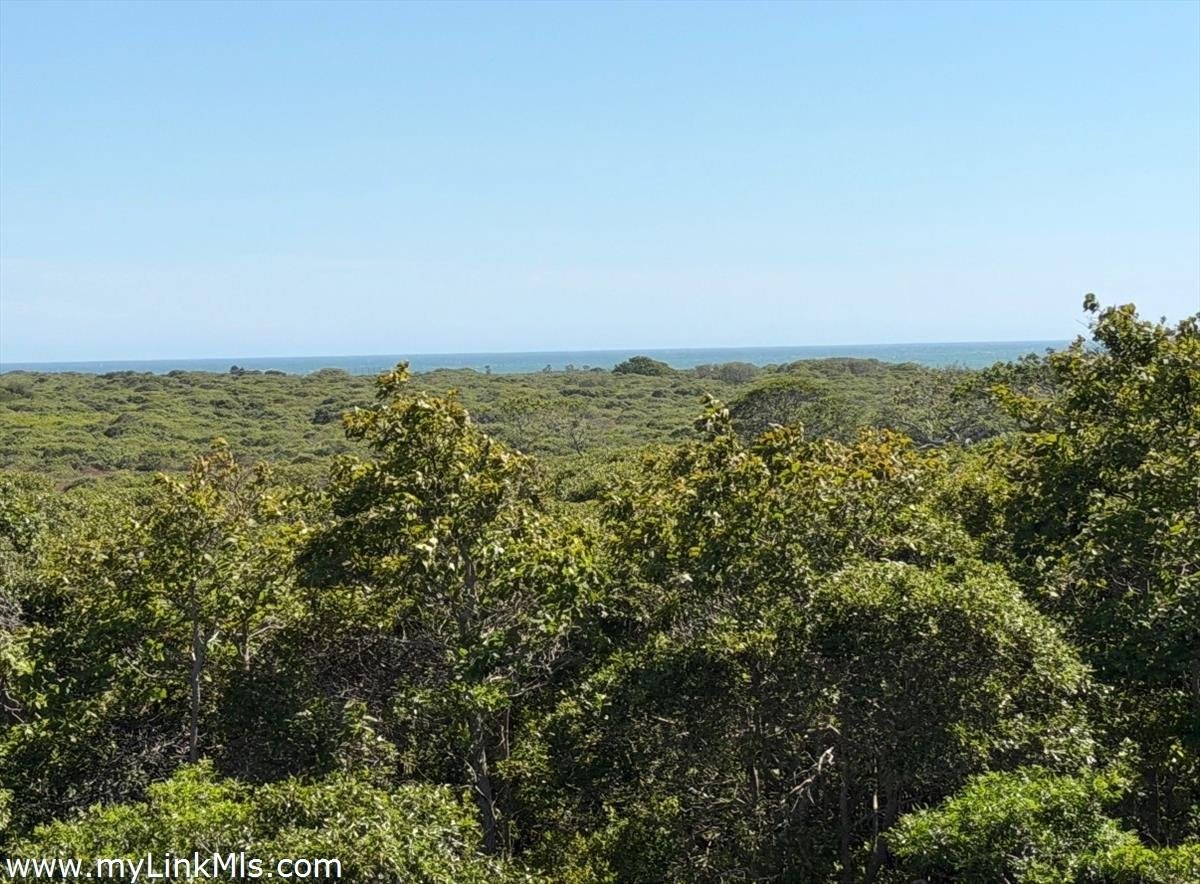 Nantucket Real Estate