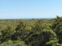 49 Tom Nevers Road Nantucket Thumb 